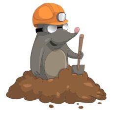 best Mole traps
