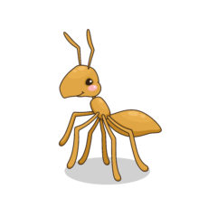 How to get rid of ants