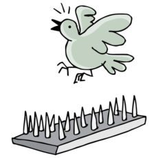ird Spikes