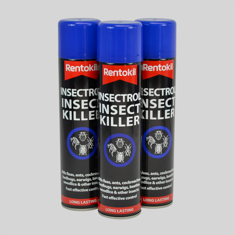 Rentokil Insectrol Earwig Killer Set of 3 Cans