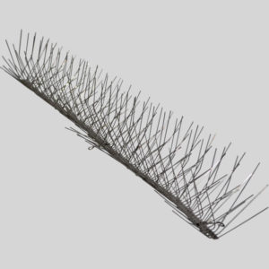 Defender Starling and Sparrow Bird Spikes