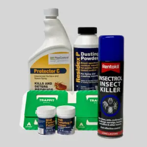 All in one kit to control bed bugs