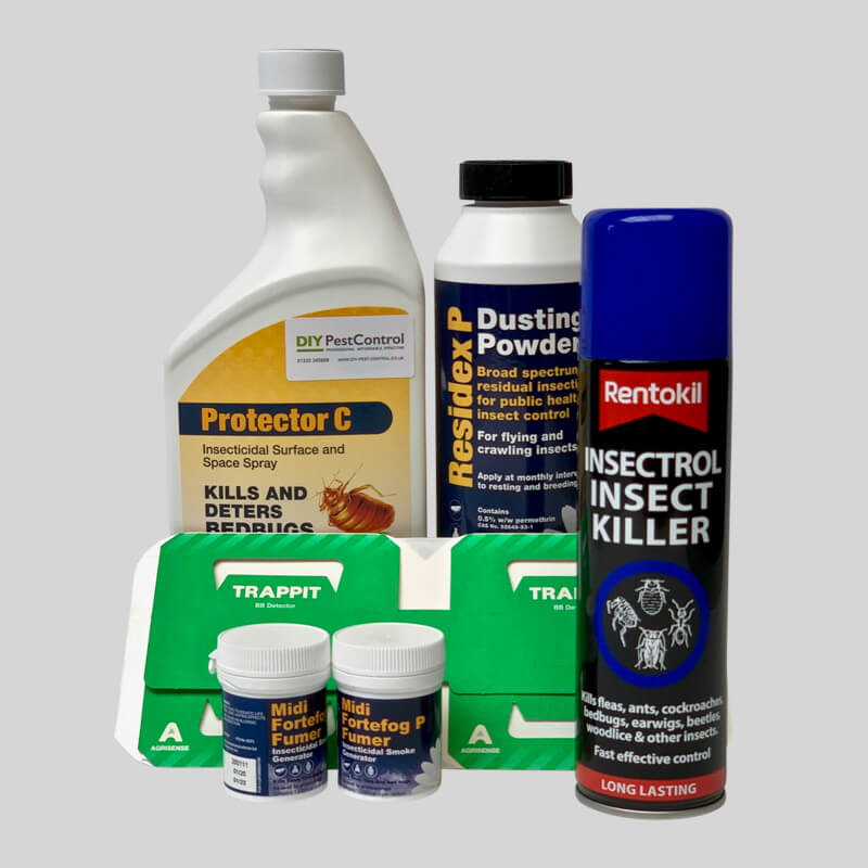 All in one kit to control bed bugs