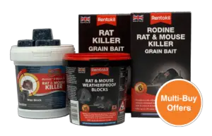 Rat Poison