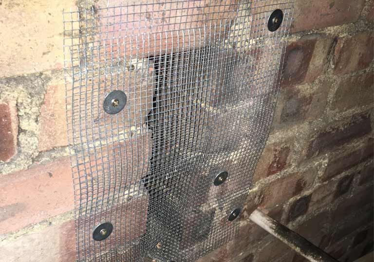 mesh placed over entry point to prevent roof rats