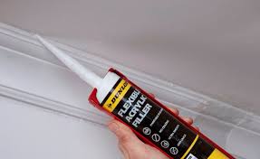 sealing up entry points to prevent booklice